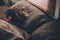 Igiene del sonno: quali sono le regole da seguire
